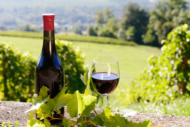 Eine Flasche und ein Glas Rotwein auf einem Weinberg