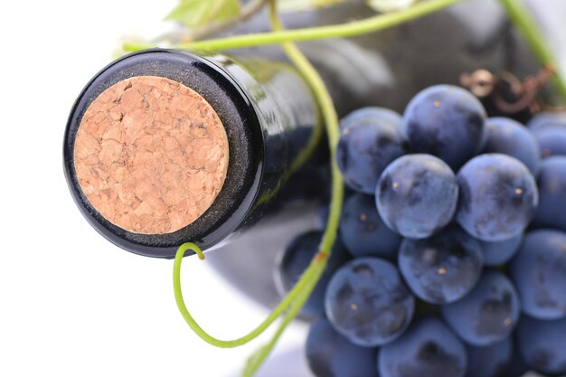 Eine Flasche Wein auf einem weißen Hintergrund