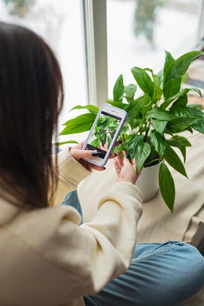 Eine Floristen-Bloggerin fotografiert eine heimische Pflanze Spathiphyllum in einem Topf auf einer Handykamera Heimpflanzenzucht Gartenarbeit Online Social Media Influencer Weicher selektiver Fokus