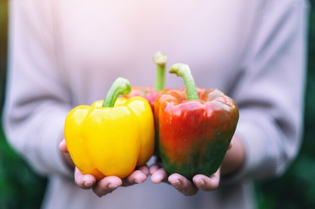 Eine Frau, die eine frische Paprika in den Händen hält