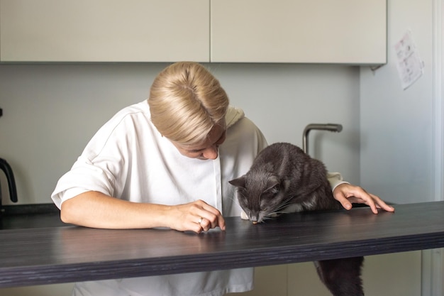 Eine Frau füttert ihre flauschige graue Hauskatze auf dem Tisch