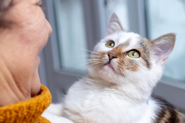 Eine Frau hält eine süße Katze in ihren Armen Eine Katze in den Armen einer älteren Frau