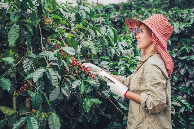 Eine Frau in der Hand, die ein Notizbuch hält und nah an dem Kaffeebaum steht und über Kaffee lernt