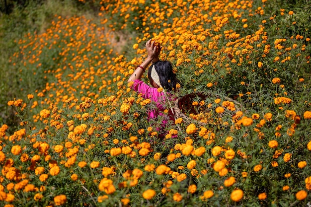 Eine Frau in einem Blumenfeld mit einem Korb in der Hand.