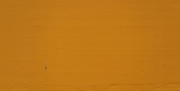 Eine Frau in einem schwarzen Kleid steht vor einer gelben Wand.