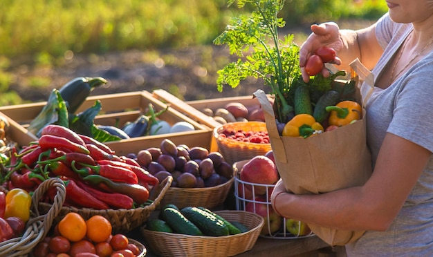 Eine Frau kauft Obst und Gemüse auf einem Bauernmarkt