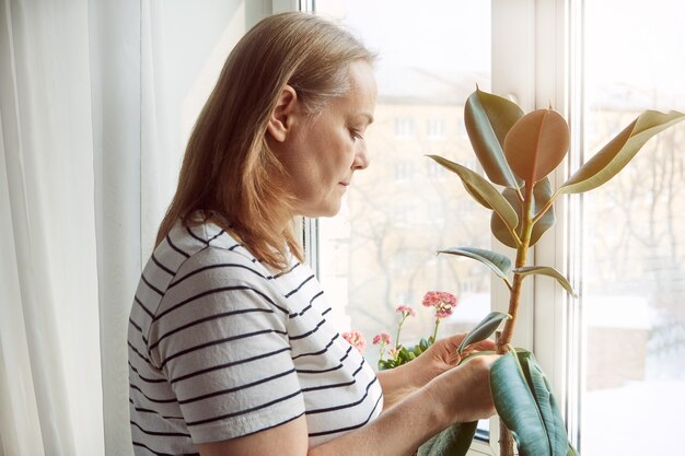 Eine Frau kümmert sich um eine Zimmerpflanze und steht am Fenster