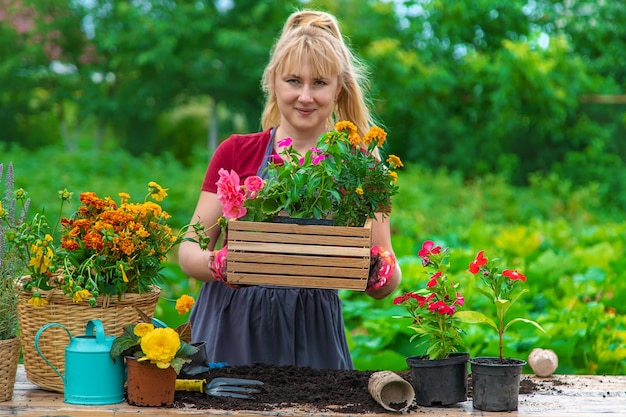 Eine Frau pflanzt Blumen im Garten Selektiver Fokus