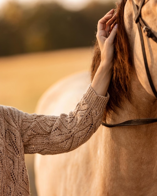 Eine Frau streichelt ein Pferd auf einer Ranch Nahaufnahme der weiblichen Hand