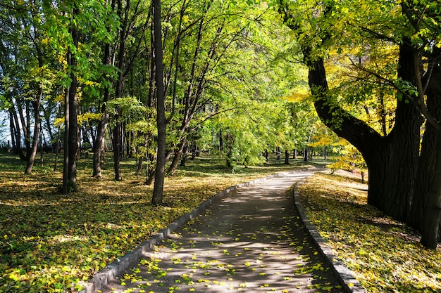 Eine Fußgängerstraße in einem Park unter grünen Bäumen