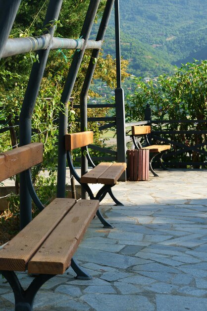 Eine geflieste Treppe im Park führt zu hölzernen Parkbänken, vorbei an immergrünen Bäumen, die in der Nähe wachsen