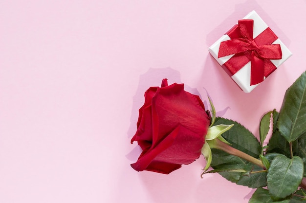 Eine Geschenkbox mit einem roten Band und einer Rosenblüte auf rosa Hintergrund Das Konzept der Grüße