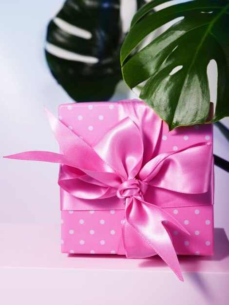 Eine Geschenkbox mit rosa Schleife neben den Blättern der Zimmerpflanze.