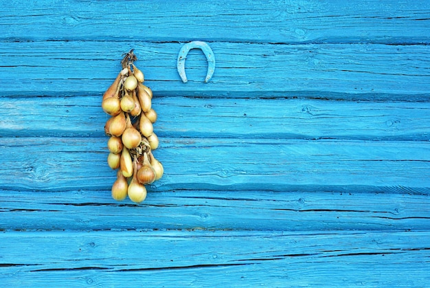 Eine Girlande aus Zwiebeln wird zum Trocknen an eine blaue Holzwand gehängt, um sie zu konservieren