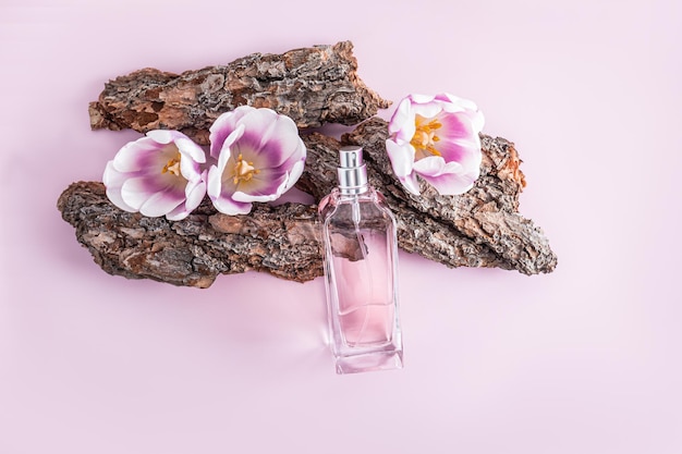 Eine Glasflasche Damenparfüm vor dem Hintergrund der Rinde des Baumes und Frühlingsfliederblüten frischer Parfümduft feminine Essenz