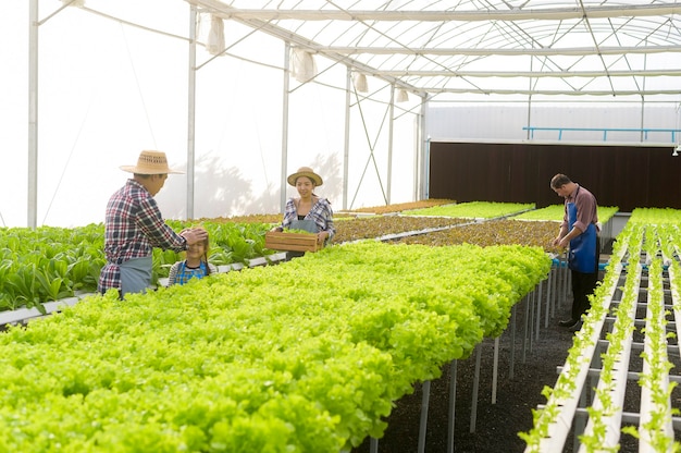 Eine glückliche Bauernfamilie, die in einer hydroponischen Gewächshausfarm arbeitet, sauberes Essen und gesundes Ernährungskonzept