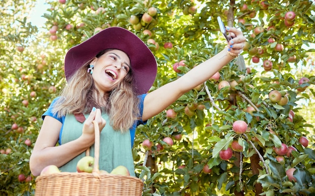 Eine glückliche Frau, die Selfies und Videoanrufe auf dem Handy macht und einen Korb mit frisch gepflückten Äpfeln auf einem nachhaltigen Obstgarten draußen hält Fröhlicher Bauer, der in der Saison saftige Bio-Früchte zum Essen erntet