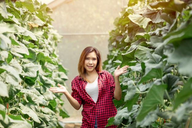 Eine glückliche, schöne asiatische Frau besitzt eine süße Melonenplantage. Bauern freuen sich über Geld