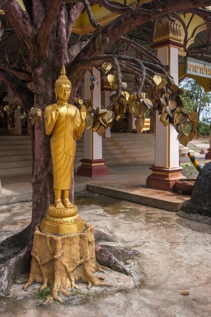 Eine goldene Buddha-Statue unter dem Wunschbaum mit goldenen Blättern im buddhistischen Tempel Tiger Cave in der Provinz Krabi in Thailand. Es ist eine buddhistische Tradition, Wünsche auf Metallblätter zu schreiben.