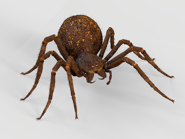 Eine große braune Spinne. 3D-Rendering