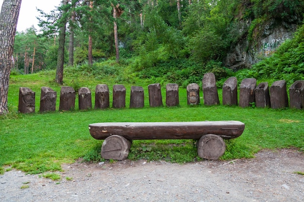 Eine große Holzbank aus einem halben Baumstamm auf einem grünen Rasen in einem Park