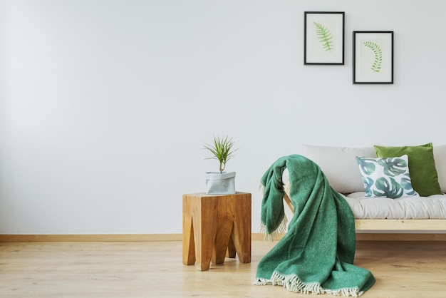 Eine grüne Decke auf einem Holztisch in einem Wohnzimmer mit einer Pflanze an der Wand.