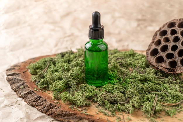 Eine grüne Tropfflasche mit Gesichtsserum oder natürlichem Öl, die auf einem Moos steht