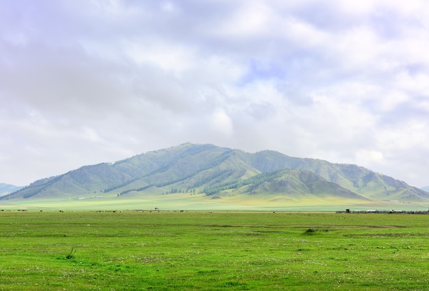 Eine grüne Weide auf dem Hintergrund eines Berges unter einem blauen bewölkten Himmel Sibirien Russland