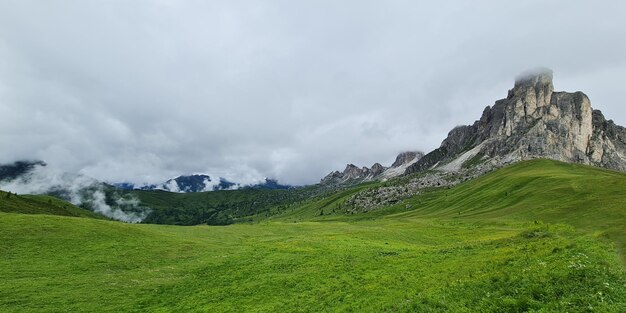 Eine grüne Wiese mit Bergen im Hintergrund