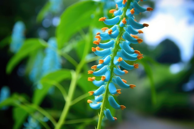 Eine Gruppe blühender Jade-Rankenblumen mit einem verschwommenen Hintergrund, erstellt mit generativer KI