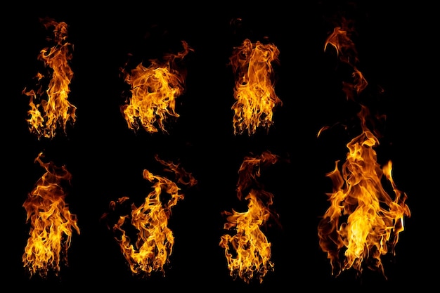 Eine Gruppe echter und heißer Flammen brennt auf einem schwarzen Hintergrund