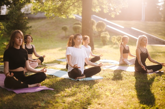 Eine Gruppe junger Frauen praktiziert Yoga im Park am sonnigen Sommermorgen unter Anleitung des Lehrers. Eine Gruppe von Menschen sitzt mit geschlossenen Augen im Lotussitz auf Gras