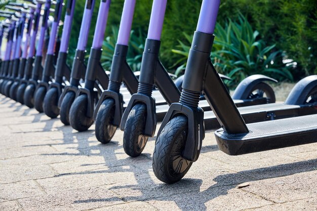 Eine Gruppe von Elektrorollern ist auf der Straße geparkt