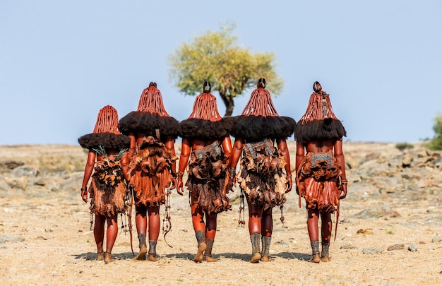 Eine Gruppe von Frauen des Himba-Stammes geht in nationaler Kleidung durch die Wüste.