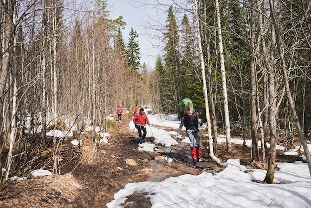 Eine Gruppe von Touristen, die entlang des Baches im Wald spazieren gehen