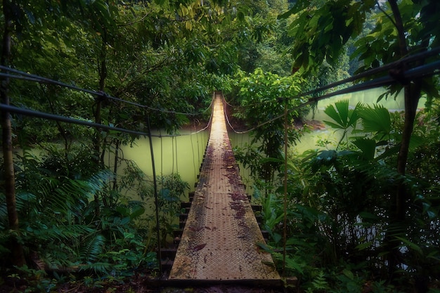 Eine hängende Brücke über einem gelben Fluss in einer Dschungelzone Costa Ricas