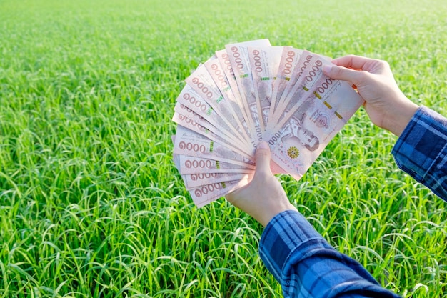 Foto eine hand, die geld im gras im freien hält