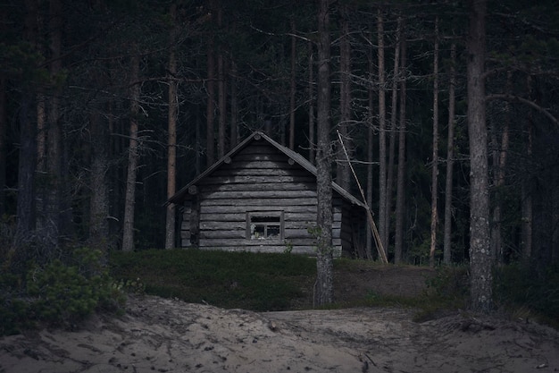 Eine hölzerne Jagdhütte aus Baumstämmen, die im Sommer einen Unterschlupf im nördlichen Wald bietet