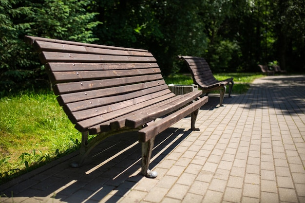 Eine Holzbank im Park im Sommer