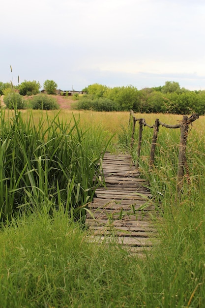 Eine Holzbrücke über eine Wiese