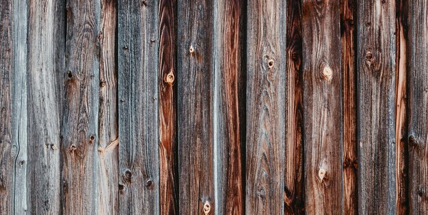 Eine Holzwand mit einer Holztür, in der sich ein Loch mit der Aufschrift „Holz“ befindet.