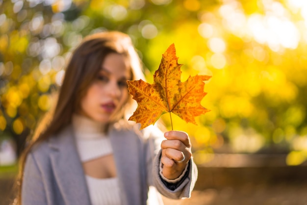 Eine hübsche Frau, die den Herbst in einem Park bei Sonnenuntergang genießt und ein Blatt von einem Baum zeigt