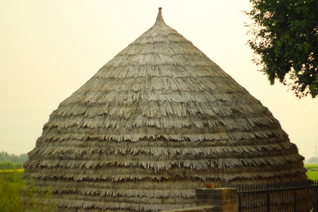 Eine Hütte von Paddy Husk