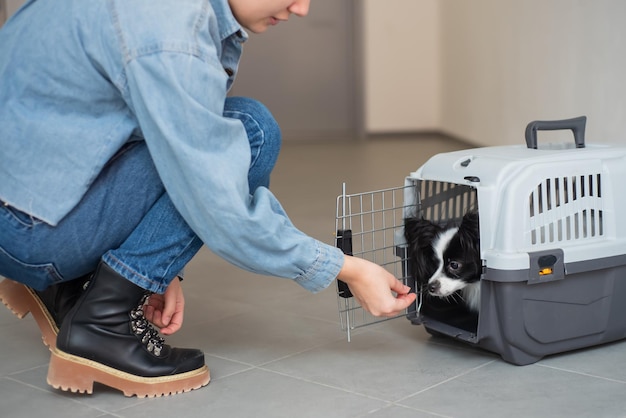 Eine junge Europäerin trägt einen Hund in einem sicheren Reisekäfig Papillon Hundebegleiter