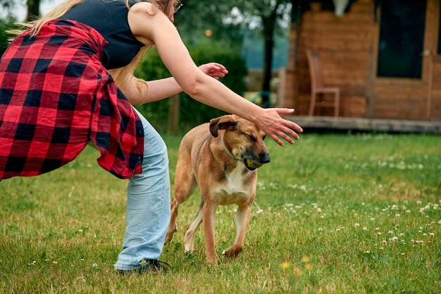 Eine junge Frau, die mit ihrem schönen braunen Hund im Garten spielt