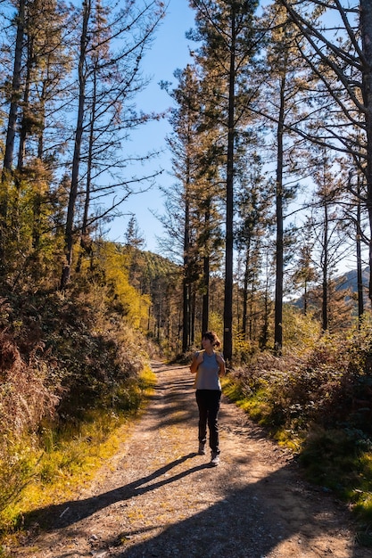 Eine junge Frau in einem Herbstsonnenuntergang auf einem Weg durch einen schönen Wald, die Natur kennenlernen