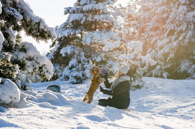 Eine junge Frau spielt mit ihrem American Cocker Spaniel im Winterwald zwischen den schneebedeckten Kiefern Der Hund springt nach einem Spielzeug