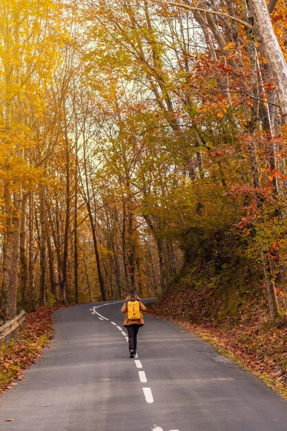 Eine junge Frau zu Fuß entlang einer von Bäumen umgebenen Straße im Herbst, Monte de Erlaitz in der Stadt Irun, Gipuzkoa. Baskenland