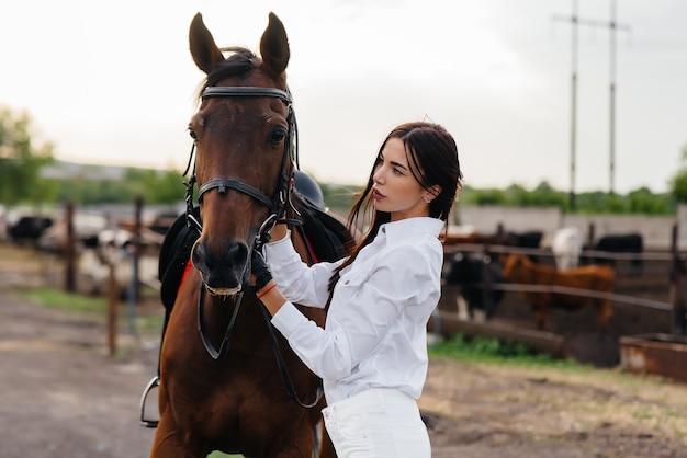 Eine junge hübsche Reiterin posiert in der Nähe eines Vollbluthengstes auf einer Ranch. Reiten, Pferderennen.