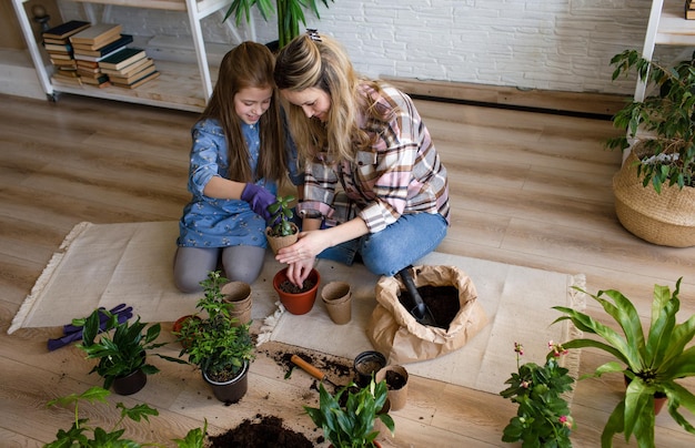 Eine junge Mutter und Tochter kümmern sich um Blumen Pflege von Zimmerpflanzen